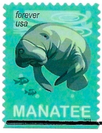 Save Manatees 2024