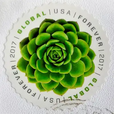 Global forever stamp 2017 Green Succulent