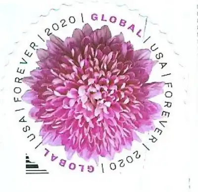 Global forever stamp 2020 Chrysanthemum