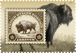 American Bison stamp 2026