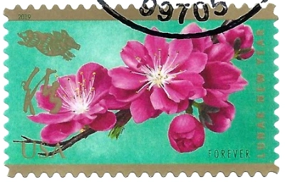 US Lunar year of Boar 2019
