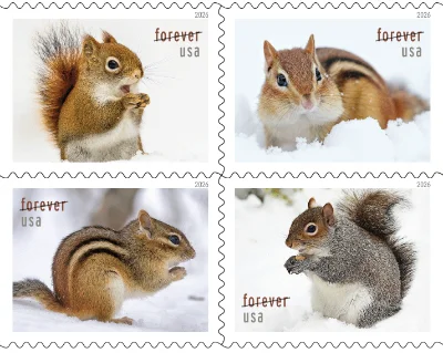 Squirrels and Chipmunks in Snow stamps 2026
